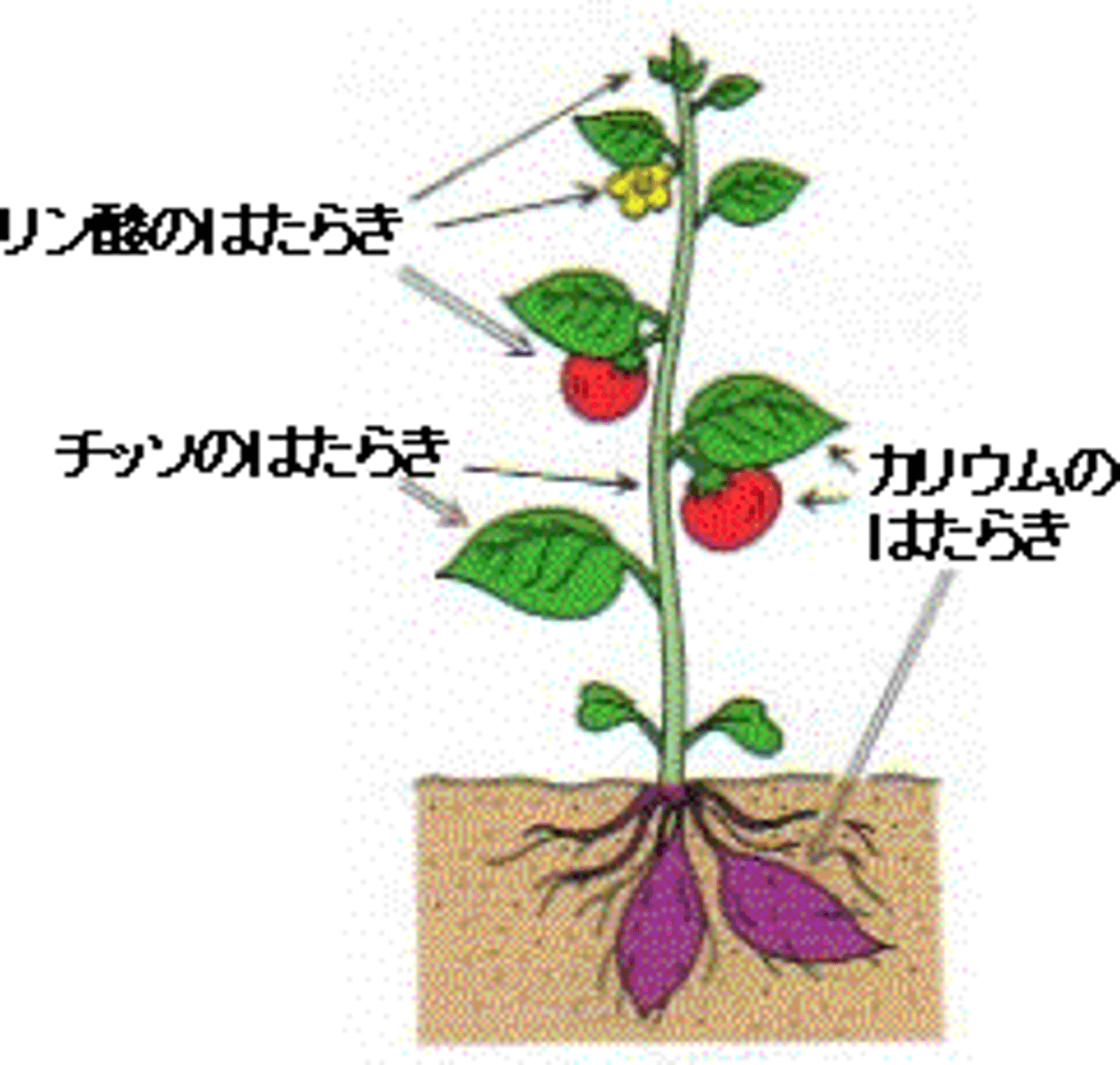 <p>ようそ yếu tố</p>