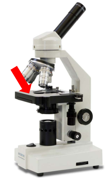 <p>What is this part called?</p>