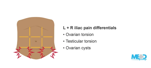 <p>Lateral to the hypogastric region, overlaying the superior parts of the hip bones. </p>