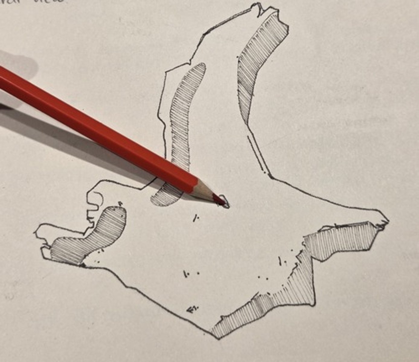 <p>perforates the covex lateral surface of the zygomatic</p>
