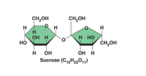 <p>What is sucrose? and how is it formed?</p>