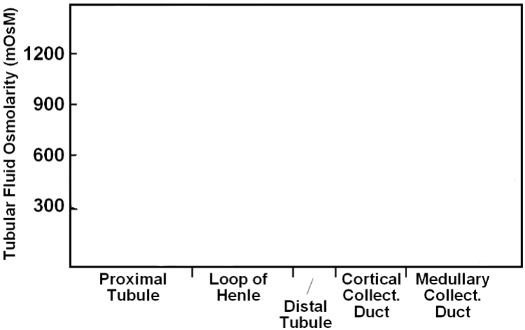 <p>fill in the line of the graph to show the change in osmolarity of tubular fluid</p>
