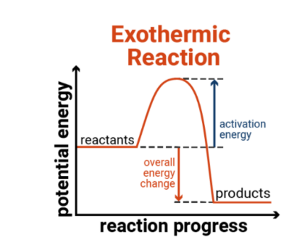 <p>Wen the products have less energy than the reactants</p>