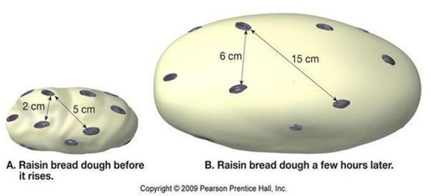 <p>An analogy illustrating Hubble's law, where raisins represent galaxies and dough represents space, expanding as the dough rises.</p>