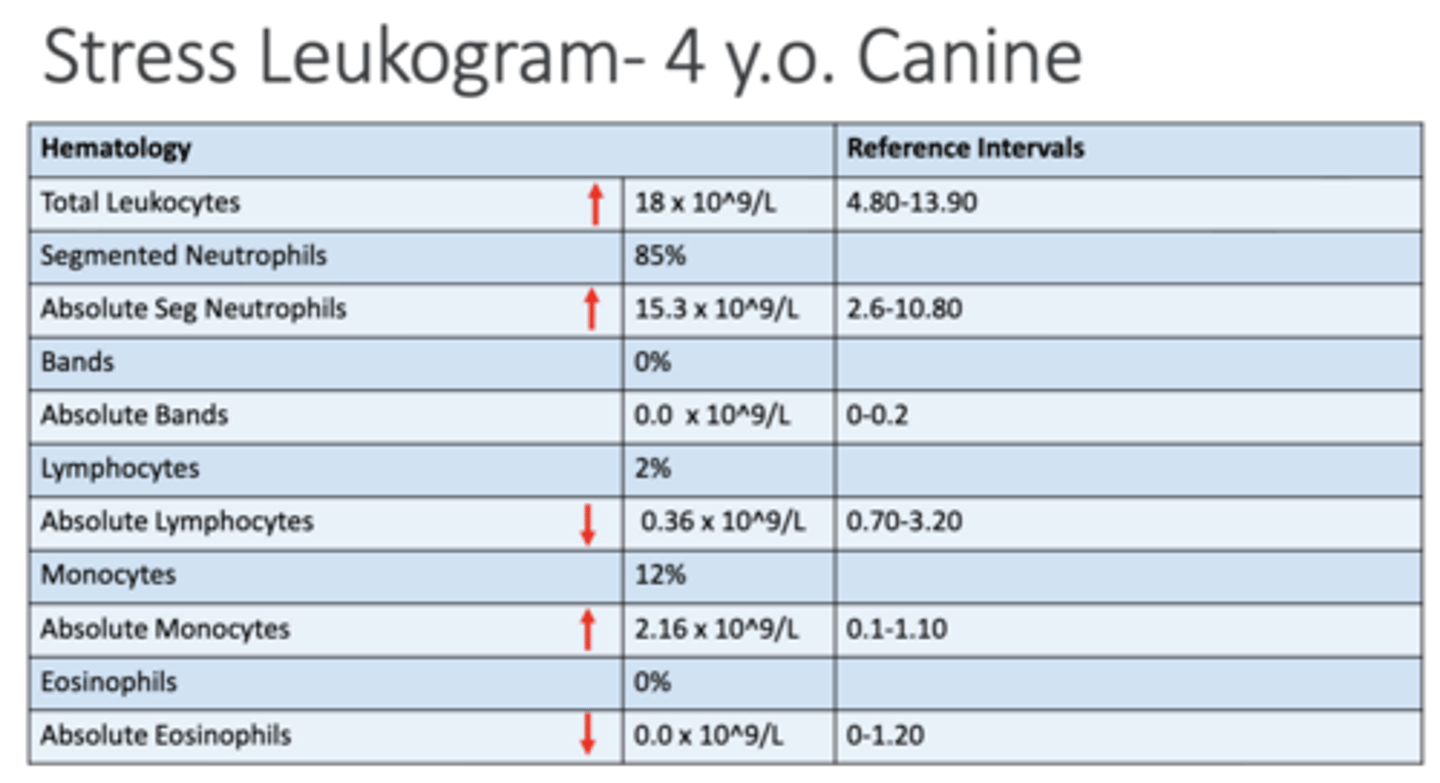 <p>Describe the changes seen in this stress leukogram</p>