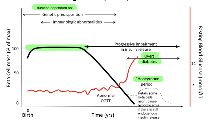 <p>genetic predisposition</p><p>immunogenic abnormalities</p>