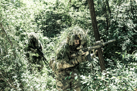 <p>Camouflage(n)</p>