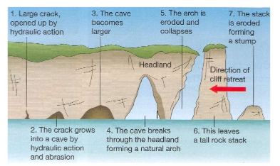 
1. Crack opens up
2. Cave forms
3. Cave breaks through headland forming arch
4. Arch disconnects and erodes more forming stack
5. Stack erodes away forming stump