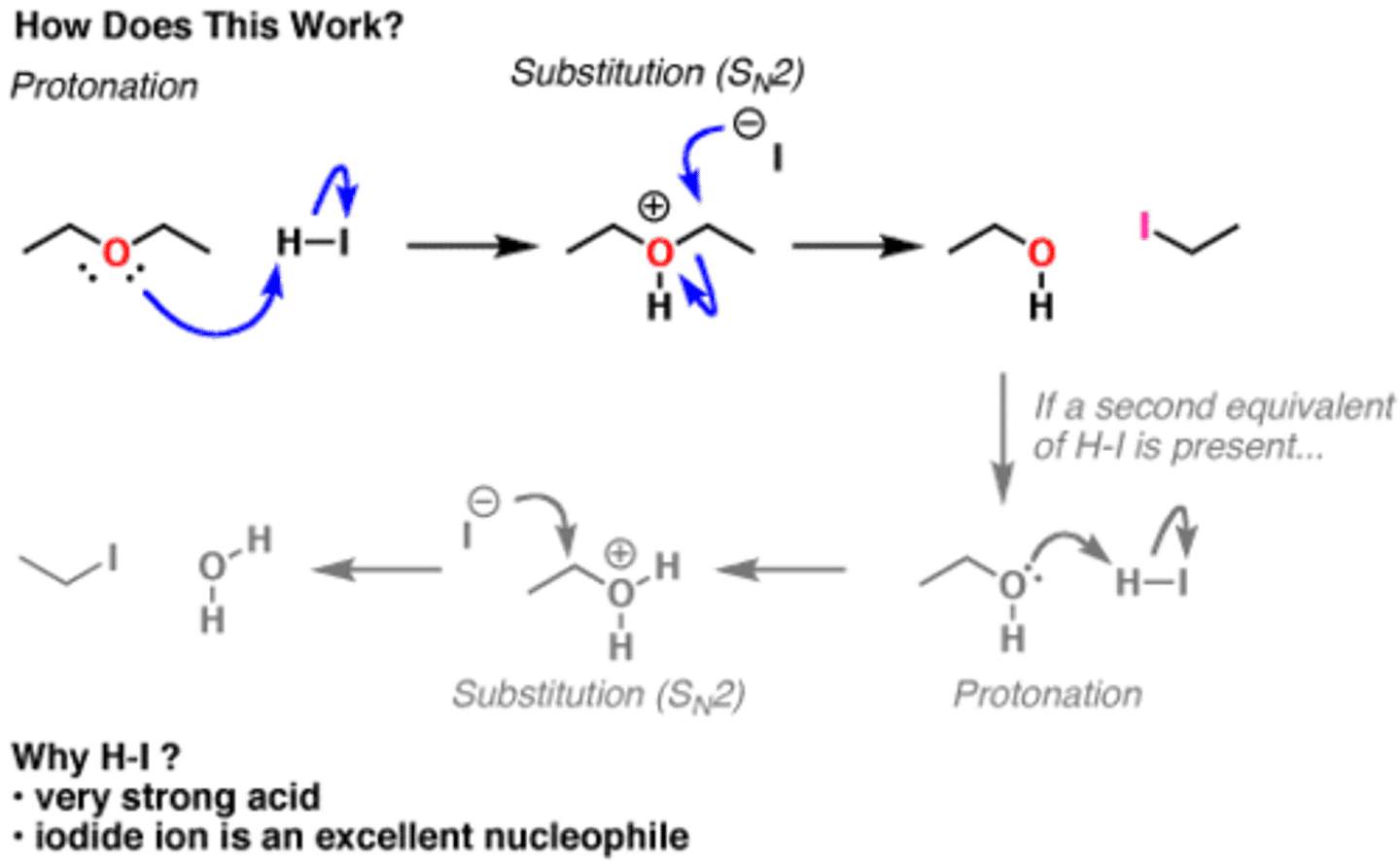 <p>The mechanism of ether cleavage is SN1 and SN2.</p>