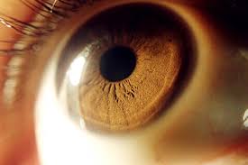 Where is the greatest amount of refraction?