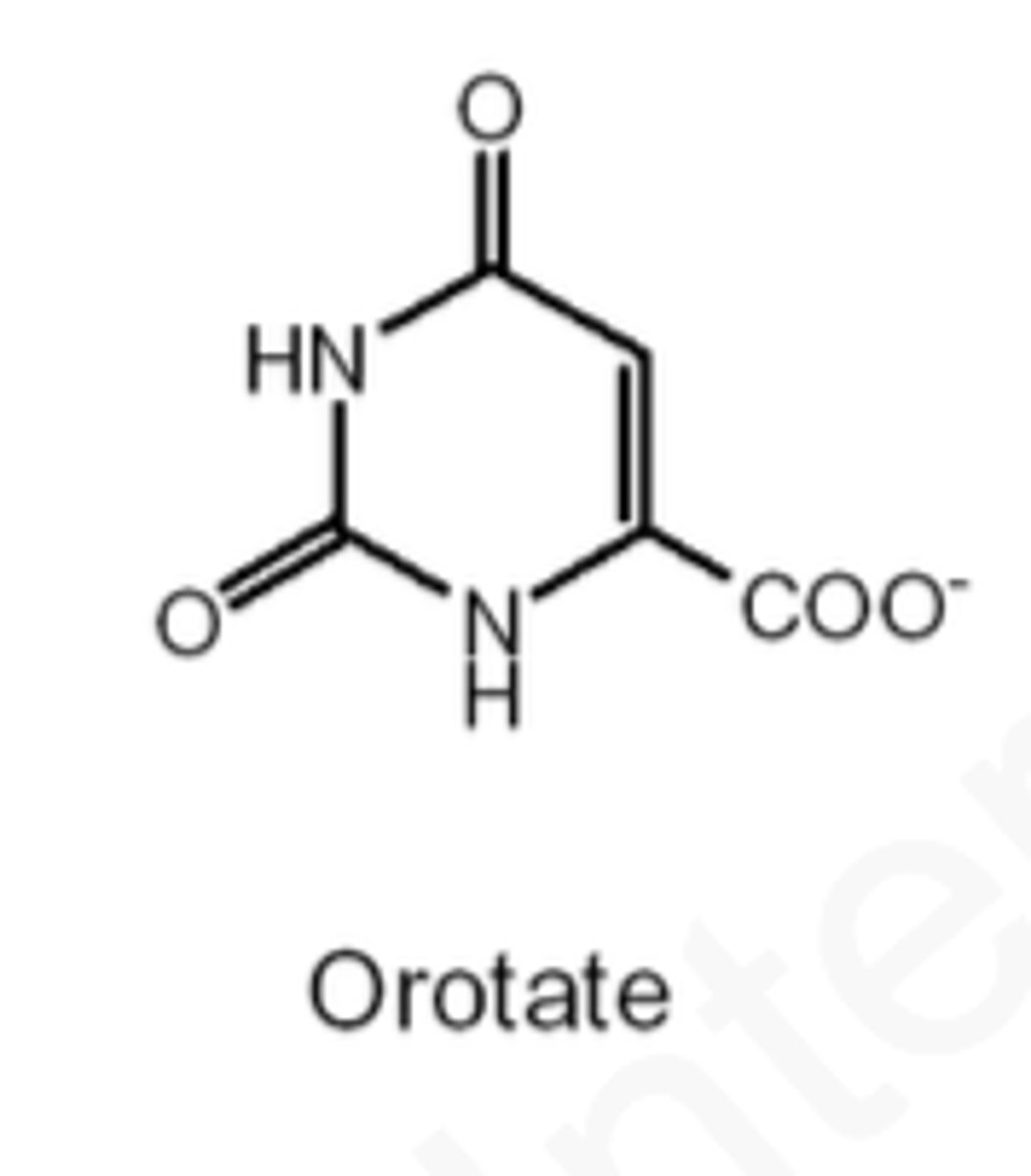 <p>orotate</p>