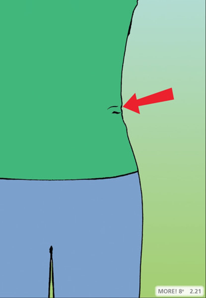 <p>yāo</p><p>waist</p>