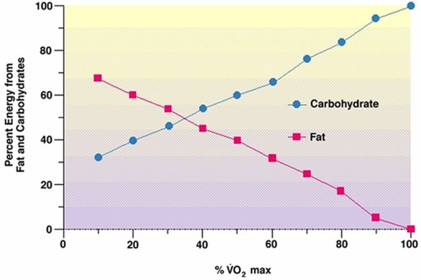 <p>a. The Crossover Concept is a theoretical means to understand the effects of exercise intensity on the balance of carbohydrate and lipid metabolism during sustained exercise. b. Endurance training shifts the curve so that at higher exercise intensities fat is the primary fuel source for ATP production by aerobic metabolism. c. Physiological adaptations: ↑ fatty acid mobilization from adipose tissue, ↑ number and density of capillaries in trained muscles that increases energy substrate delivery, ↑ transport of FFAs through the muscle fibers plasma membrane, ↑ fatty acid transport inside muscle cell, ↑ size and number of mitochondria, ↑ quantity of enzymes involved in β-oxidation, citric acid cycle metabolism, and electron transport chain, ↑ IMTG's</p>