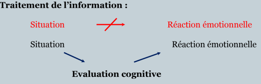 La situation ne déclenche pas directement l’émotion.
L’émotion dépend de l’interprétation (sens = processus cognitifs) que sujet fait de la situation.

• Schémas = structures cognitives profondes ensemble de pensées, croyances, valeurs, stockées dans la mémoire à long terme, non conscientes, issues des expériences du sujet, qui contiennent la définition du soi, du monde, du futur. 
• Sont responsables de nos pensées ou cognitions 
(notamment négatives) en situation, et donc génèrent des 
émotions particulières