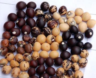 <ul><li><p>groundnut </p></li><li><p>woman’s crop </p></li><li><p>groundnut </p></li><li><p>west africa</p></li></ul><p></p>