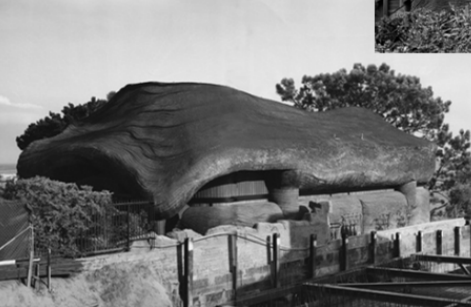 name the building architect and style 