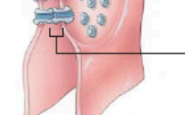 <p>what is the line pointing to?</p>