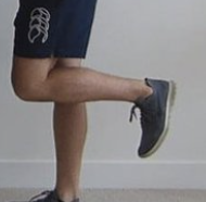 <p>Knee Flexion</p>