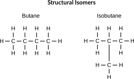 **Structural isomers** (ex: butane and isobutene) differ in the placement of their covalent bonds: both molecules have four carbons and ten hydrogens (C4H10), but the different arrangement of the atoms within the molecules leads to differences in their chemical properties