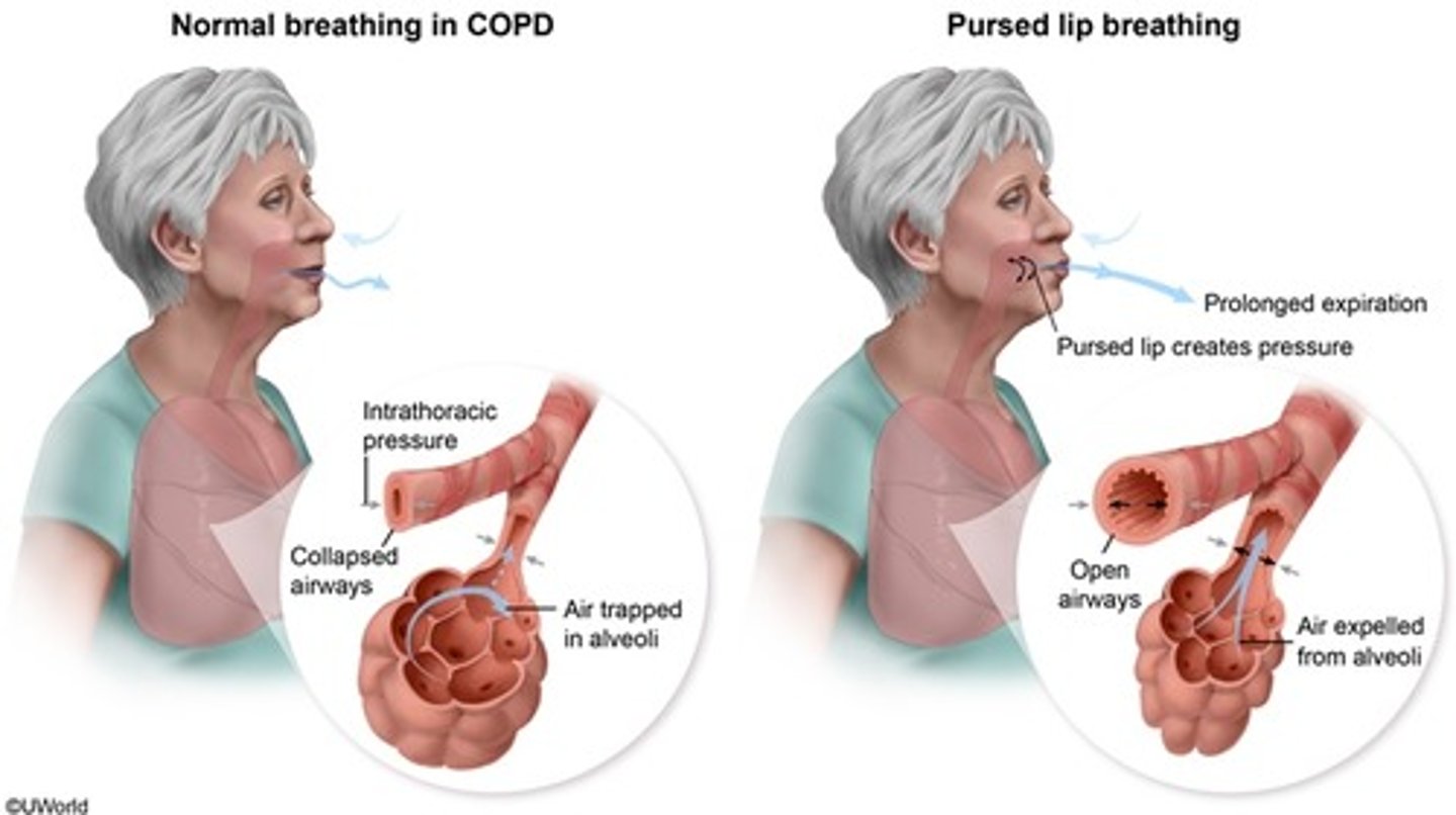 <p>• Slowing and prolonging expiration</p><p>• Decreased airway narrowing during expiration</p><p>• Prevent the collapse of small airways</p><p>• Improved gas exchange</p><p>• Control rate and rhythm of respirations</p>