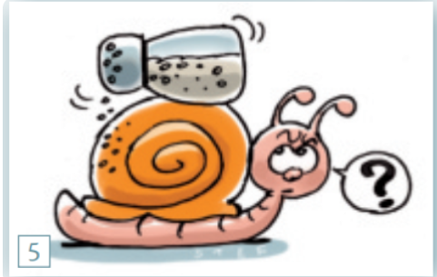 <p>wat betekent: op alle slakken zout leggen</p>