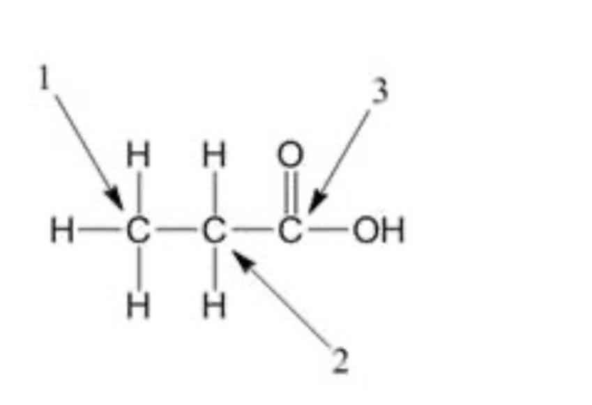 <p>Alcohol carbon</p>