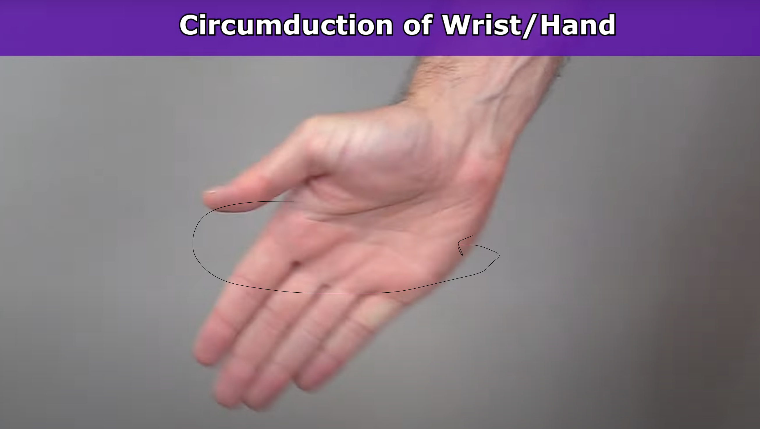 <p>rotating hand in circular motion</p>