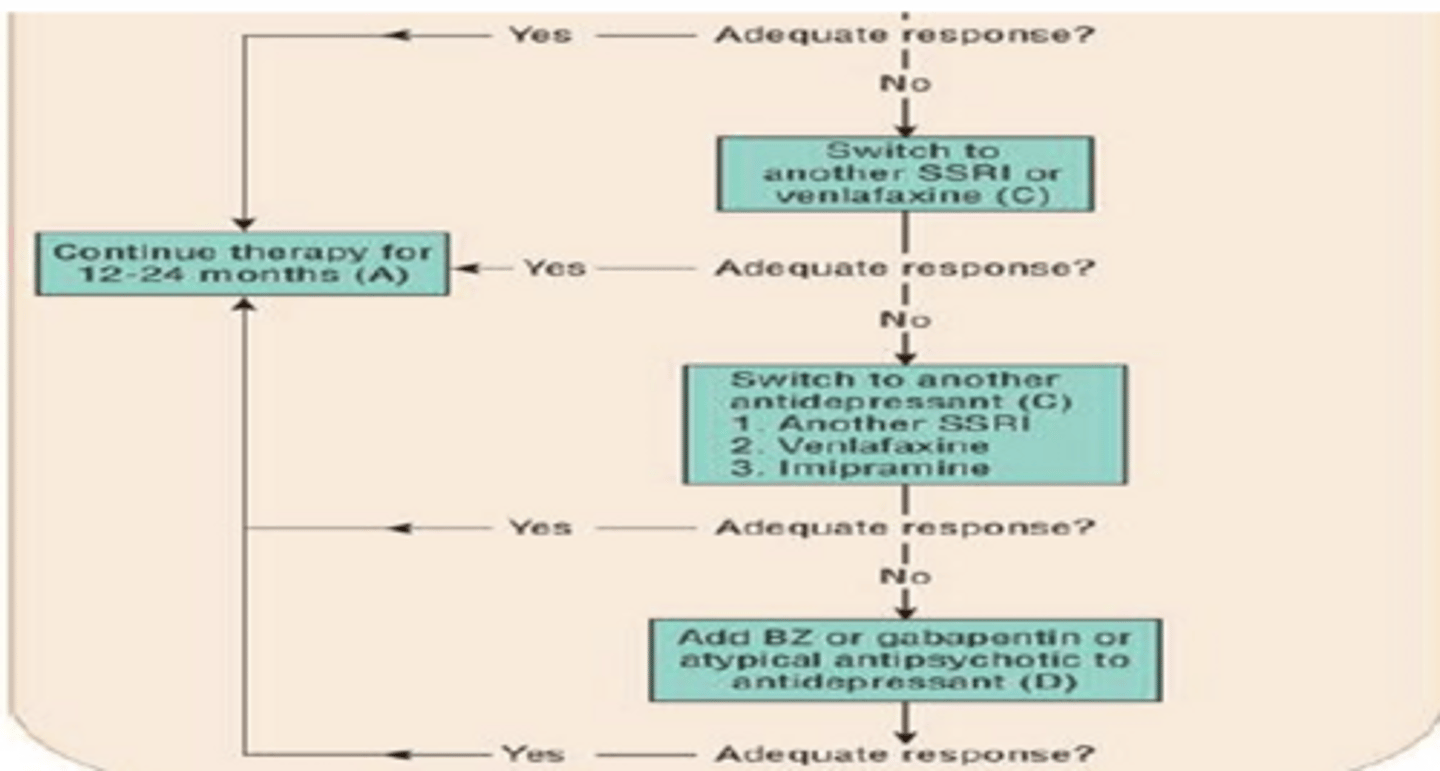 <p>- adequate response to 1st line = continue therapy for 12-24 mnths</p><p>- no adequate response = switch to diff SSRI or venlafaxine</p><p>- continued no adequate response = switch to another antidepressant</p><p>- still no response = add BZD or gabapentin or atypical agent</p>
