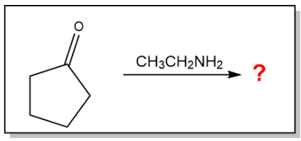<p>Which option below will result in the following molecule as the major organic product?</p>