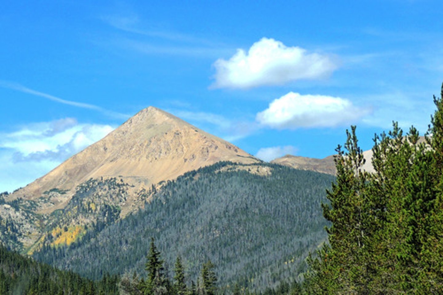 <p>(n): núi</p>