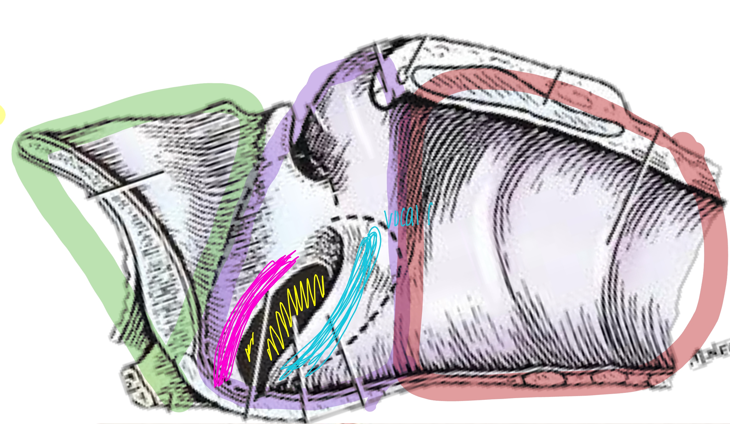 <p>what is the red shaded area referring to?</p>