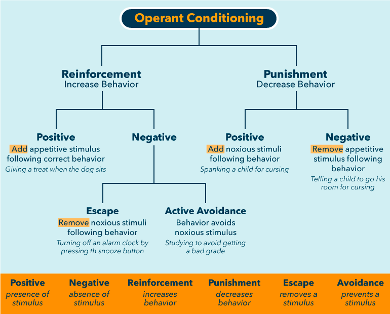Operant conditioning flow chart
