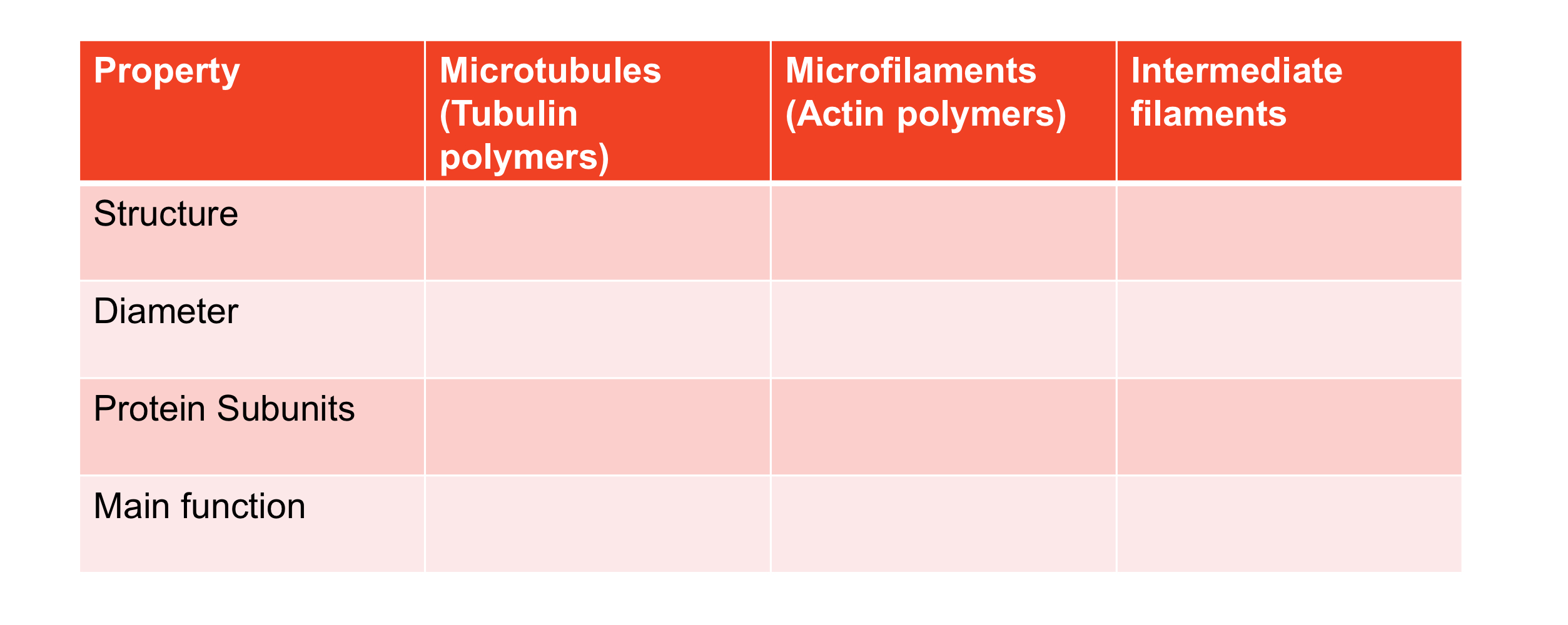 <p>Compare and contrast the structure and basic function(s) of the three cytoskeletal elements</p>