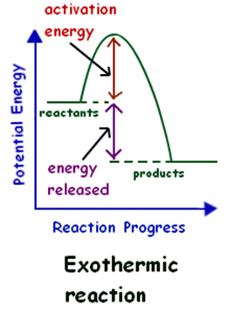 <p>products have less energy than reactants</p>