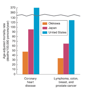 <p>calorie restriction</p><ul><li><p>studies only done in animals</p></li><li><p>Indigenous Okinawans of Japan, have one of the longest life expectancies in the world (83.8 years)</p><ul><li><p>lower incidence and mortality of chronic diseases including CV and cancer</p></li><li><p>nutrient dense, traditional diet includes many leafy and root vegetables, soy, little meat, sweet potato instead of rice</p></li><li><p>potentially related to long term calorie restriction: adults only eat around 80% of a typical Japanese diet</p></li></ul></li></ul><p></p>