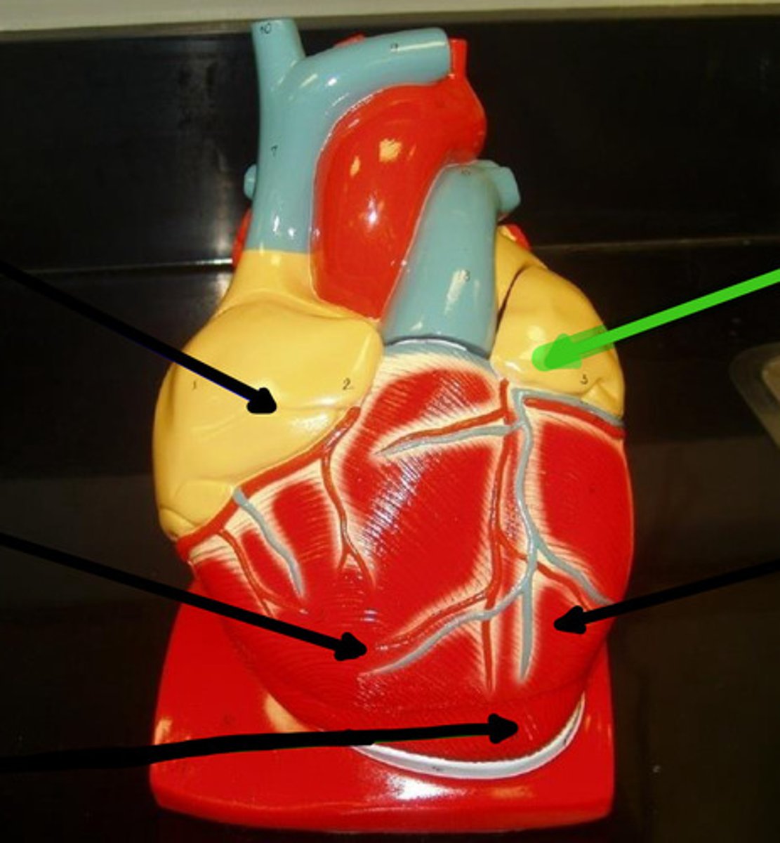 knowt flashcard image