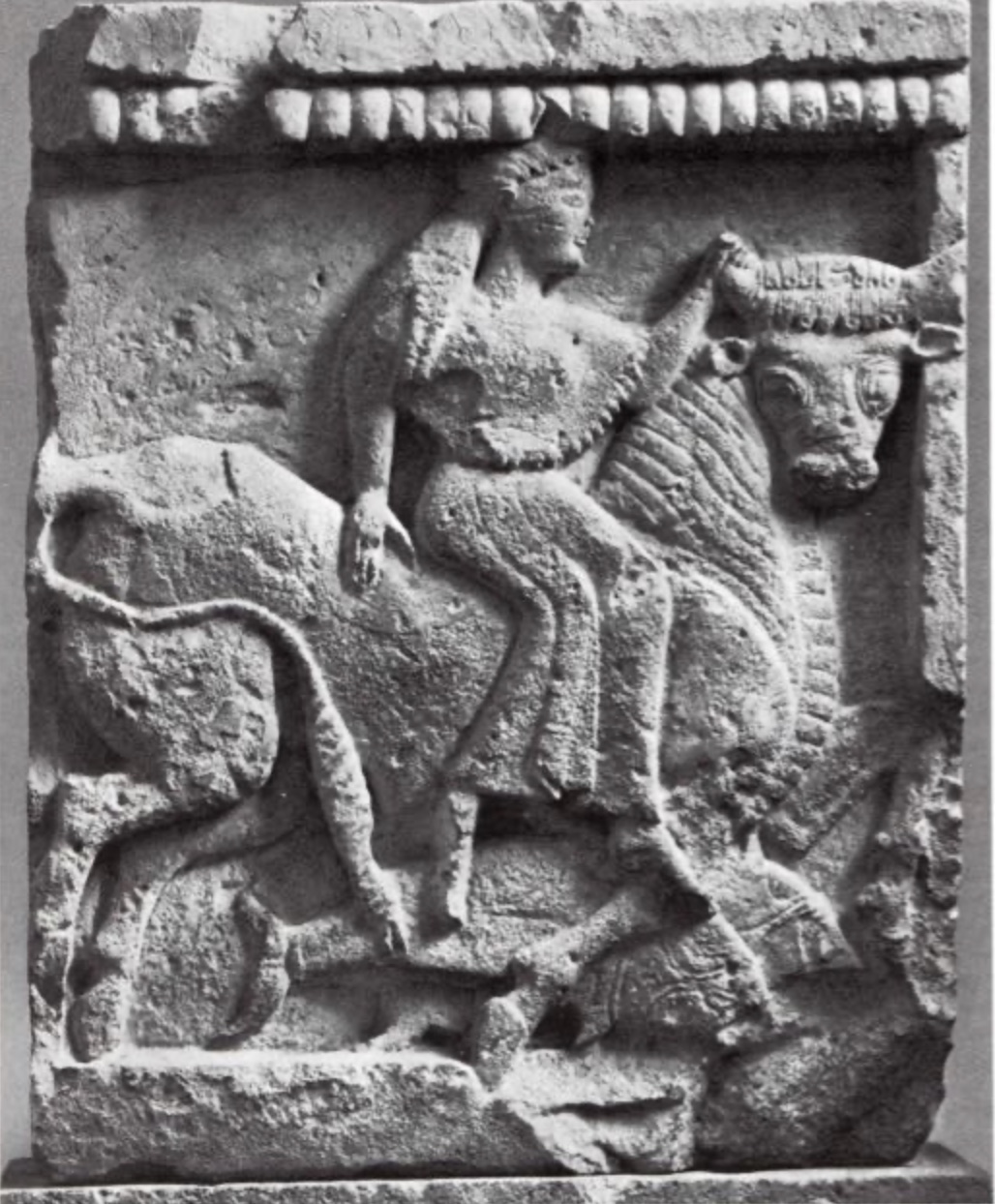 <p>This image depicts:</p>