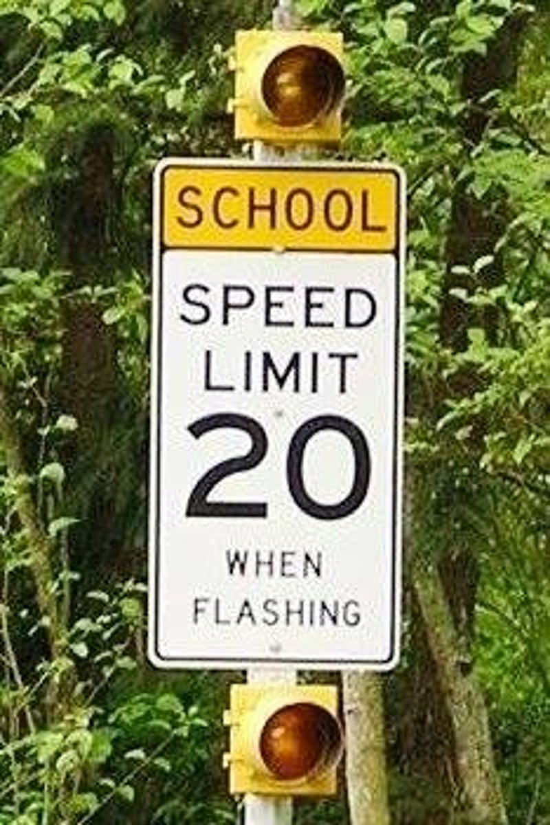 <p>20</p>