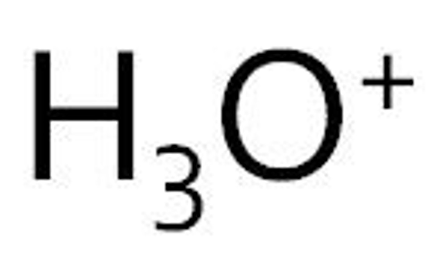 <p>H3O +</p>