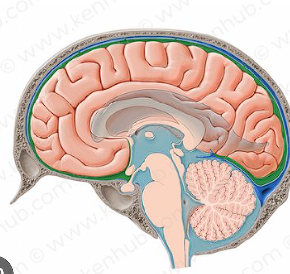 <p>HIGHLIGHTED IN GREEN </p>