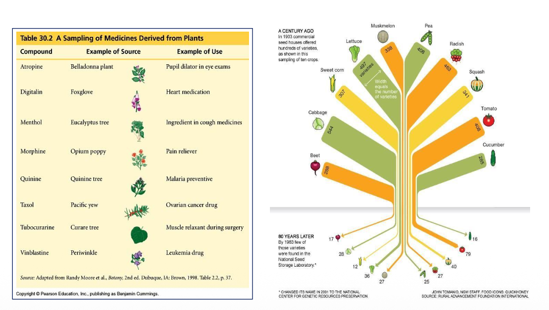 <ul><li><p>High diversity may help biological communities withstand environmental stress better and recover more quickly than those with fewer species</p></li><li><p class="p2">Keystone species: Sometimes, removing just one key species can severely disrupt the ecological balance</p></li><li><p class="p2">Maintaining biodiversity is essential to preserving ecological services</p></li></ul><p class="p1">ex: Food, Medicine,<span style="line-height: normal;"><span> </span></span>Aesthetic and Existence Values</p><p></p>