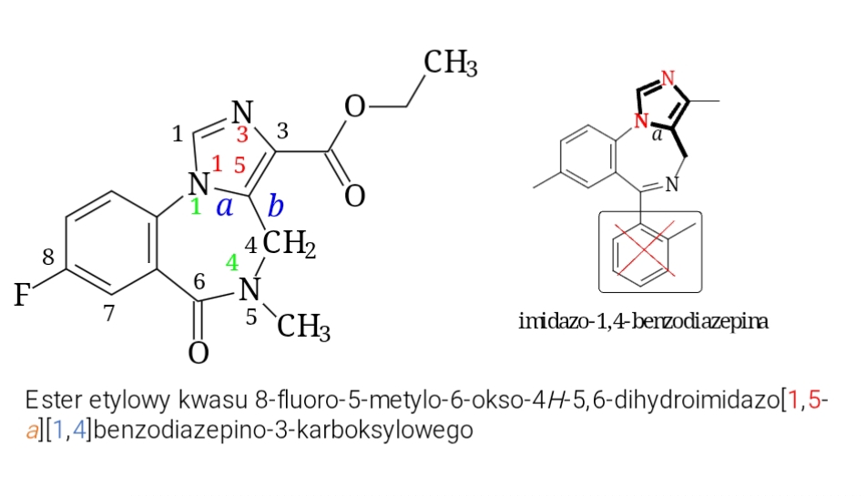 <p>antagonista benzodiazepin</p><p class="has-focus">swoisty antagonista receptora benzodiazepinowego, pochodna imidazobenzodiazepiny</p><p class="has-focus">kompetycyjnie blokuje miejsce benzodiazepinowe w receptorze GABA-A</p><p class="has-focus is-empty">wypiera benzodiazepiny z receptora</p><p class="has-focus is-empty">Skutek:</p><p class="has-focus is-empty">zniesienie działania benzodiazepin</p><p class="has-focus is-empty">odwrócenie: sedacji, działania nasennego i uspokajającego</p><p class="has-focus"></p><p></p>