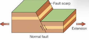 <p><strong>Extension</strong> causes one block to move downward.</p><ul><li><p>Hanging wall moves <strong>down</strong> relative to the footwall.</p></li><li><p><span>Bound to <strong>mountain ranges</strong> and rift valleys along spreading <strong>margins of tectonic plates</strong></span></p></li><li><p>Common in <strong>rift zones</strong> and <strong>mid-ocean ridges</strong>.</p></li><li><p><span>Very common</span></p></li></ul><p></p>
