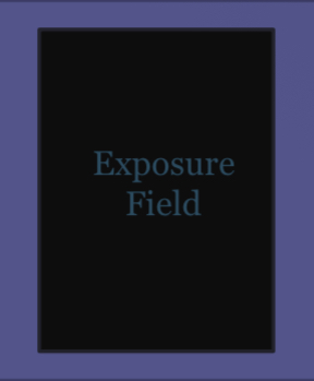 <p>Is this single exposure field ideal, permitted, or inappropriate?</p>