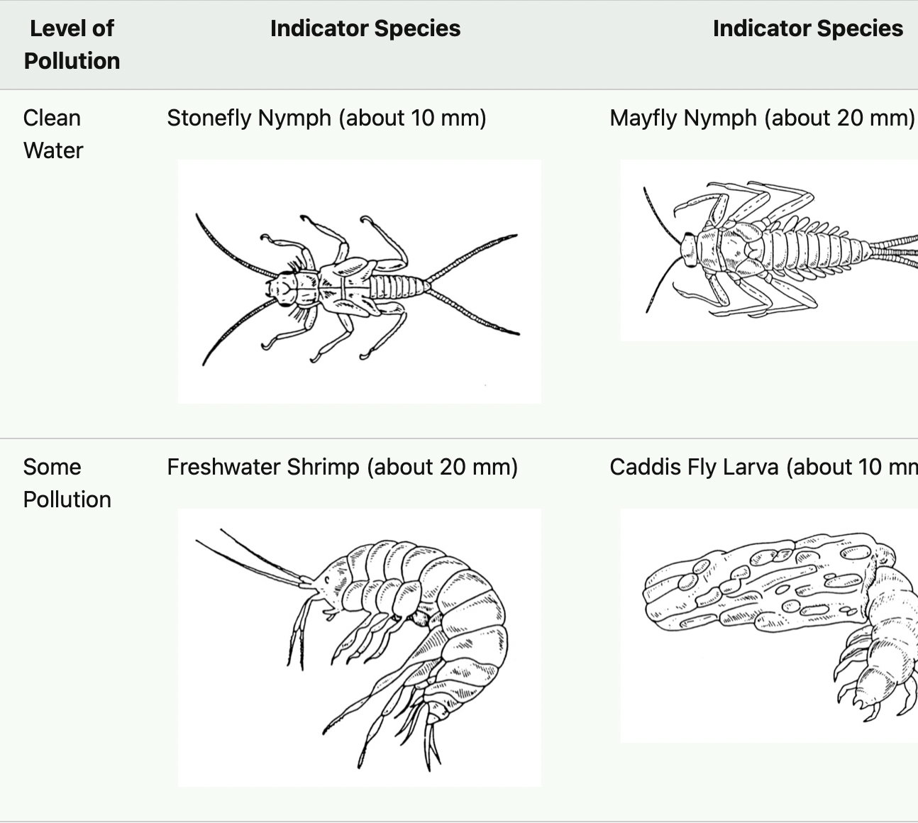<p>Indicator species</p>