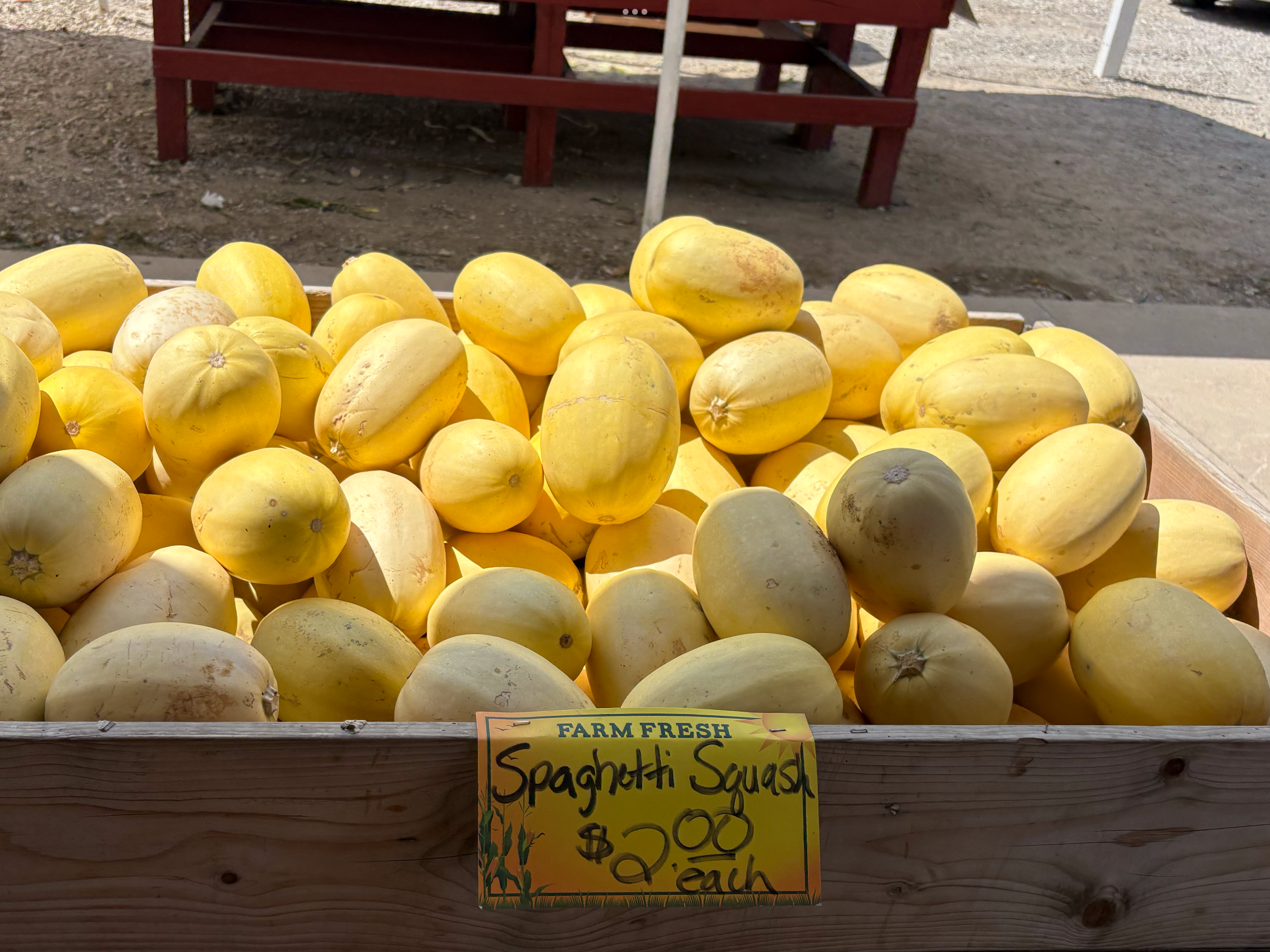 <p>Spaghetti squash</p>