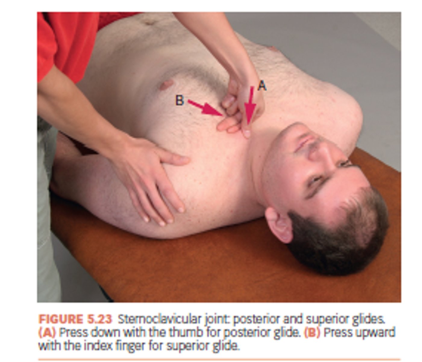 <p>to increase DEPRESSION of the clavicle</p>