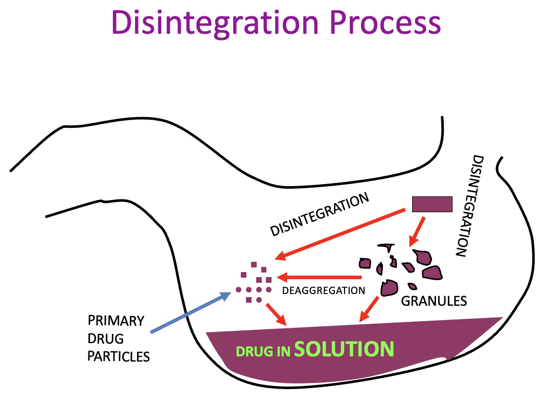 <ul><li><p><span>if tablet made from granules, it will disintegrate from granules into individual particles</span></p></li><li><p><span>If made by direct compression method, they will break into individual components as&nbsp;</span>powders are directly compressed into tablets, without granulation process  </p></li><li><p><span>therefore, dissolution is generally quicker with direct compression tablets</span></p></li></ul><p></p>