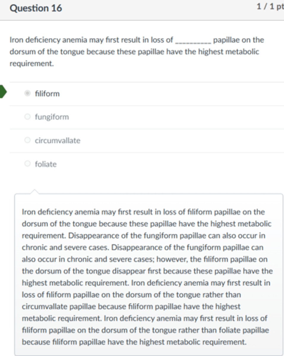 <p>filiform</p><p>Iron deficiency anemia may first result in loss of filiform papillae on the dorsum of the tongue because these papillae have the highest metabolic requirement. Disappearance of the fungiform papillae can also occur in chronic and severe cases. Disappearance of the fungiform papillae can also occur in chronic and severe cases; however, the filiform papillae on the dorsum of the tongue disappear first because these papillae have the highest metabolic requirement. Iron deficiency anemia may first result in loss of filiform papillae on the dorsum of the tongue rather than circumvallate papillae because filiform papillae have the highest metabolic requirement. Iron deficiency anemia may first result in loss of filiform papillae on the dorsum of the tongue rather than foliate papillae because filiform papillae have the highest metabolic requirement.</p>