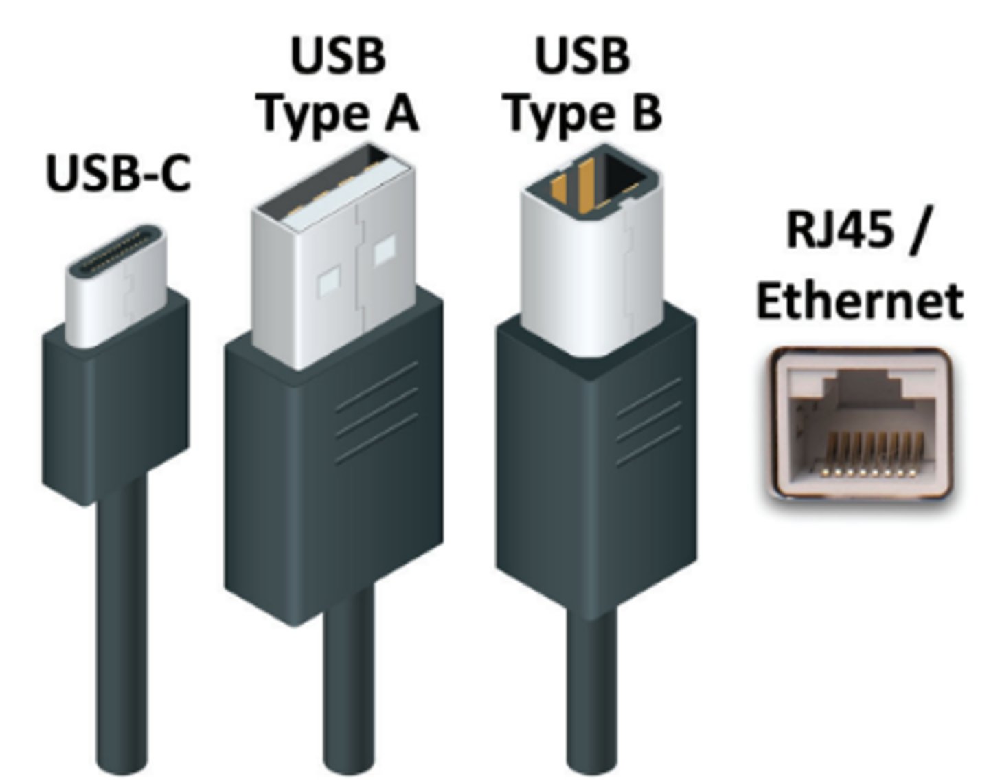 <p>• USB</p><p>- The most common connector</p><p>- USB Type B on the printer,</p><p>USB Type A on the computer</p><p>- Or, USB-C everywhere</p><p>• Ethernet - RJ45 connector</p><p>• May include more than one option</p>
